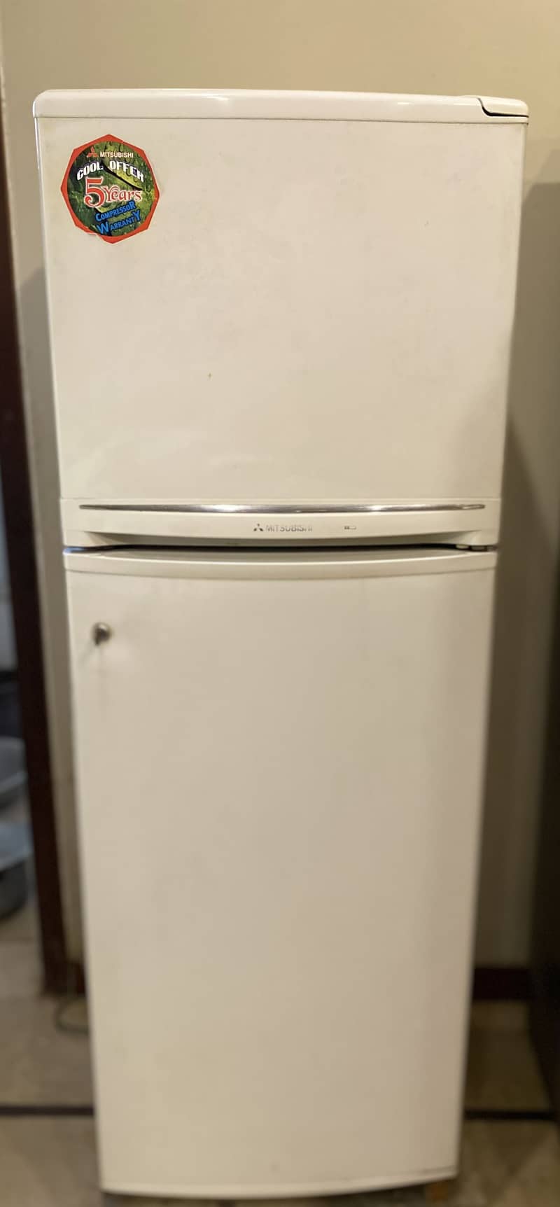 Fridge with freezer 1