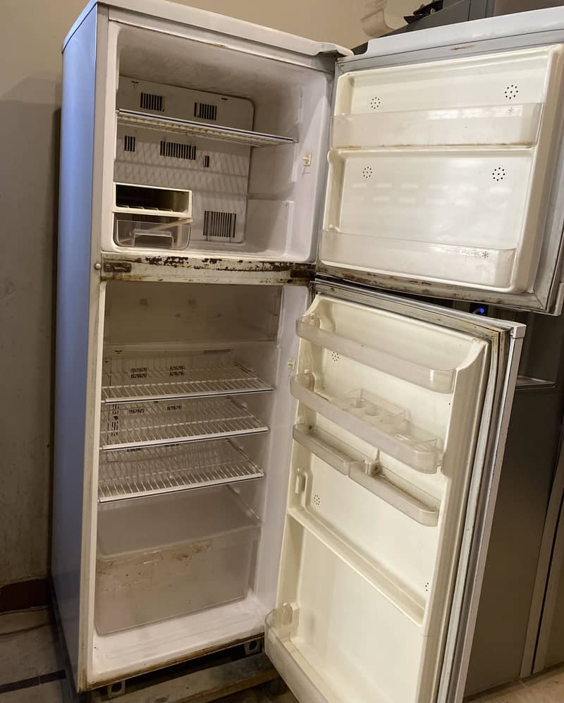 Fridge with freezer 2