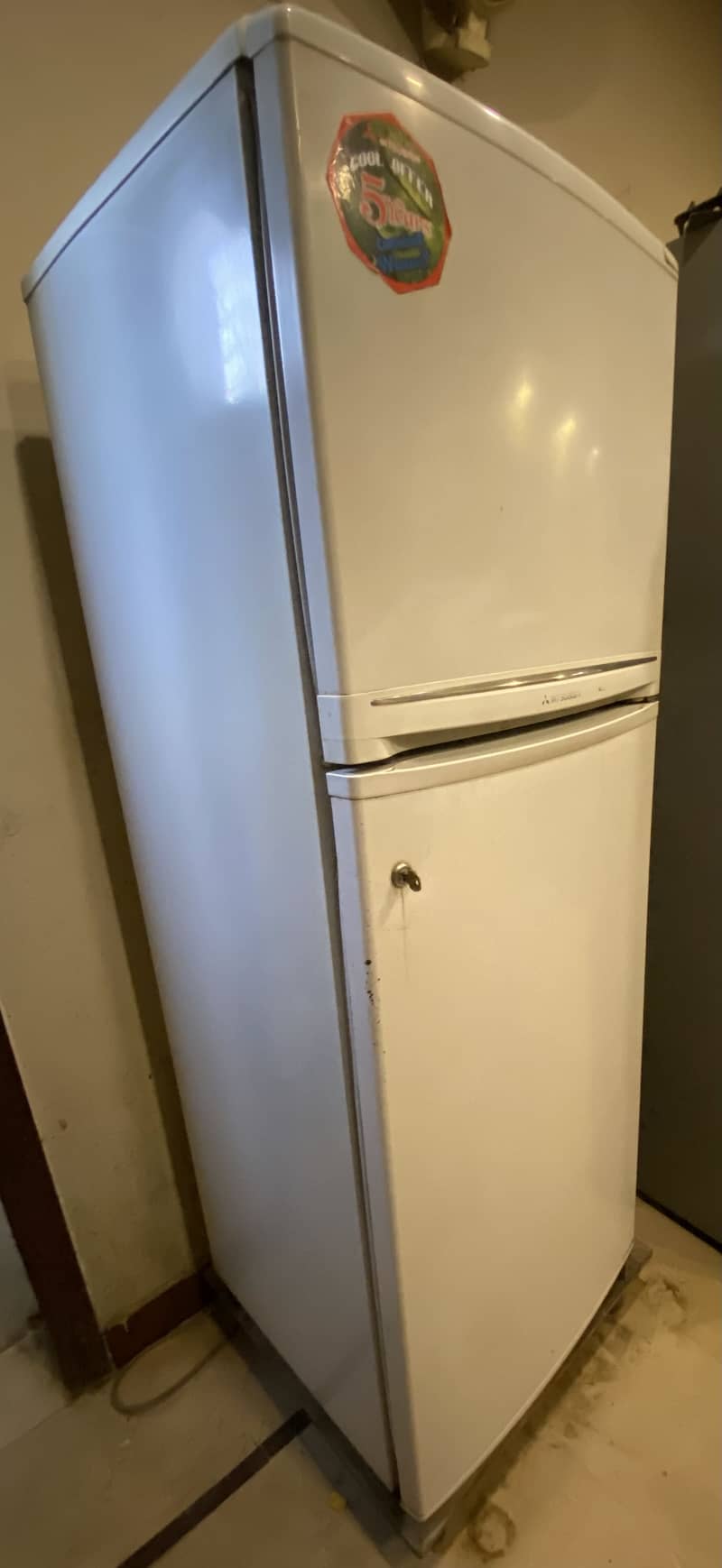 Fridge with freezer 3