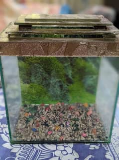 2 by 1.5 feet aquarium