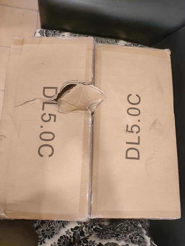 Dyness Lithium Ion battery 1