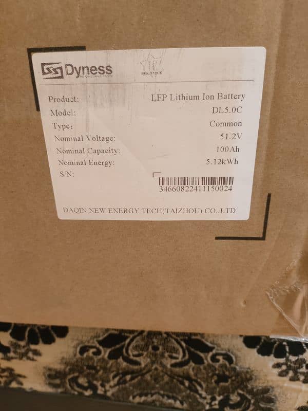 Dyness Lithium Ion battery 2