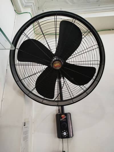 Fan Salling