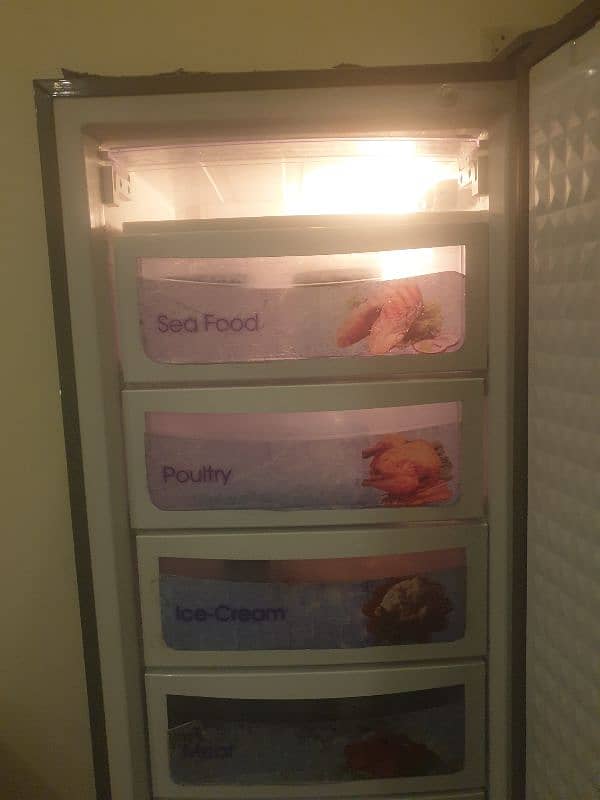 Dawlance Freezer 1