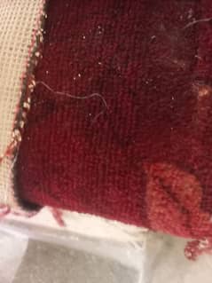 carpets