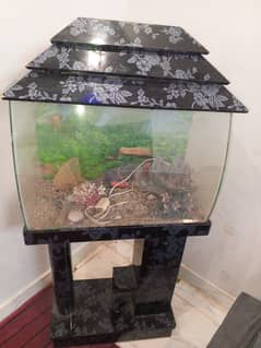 Medium Size Aquarium in good condition
