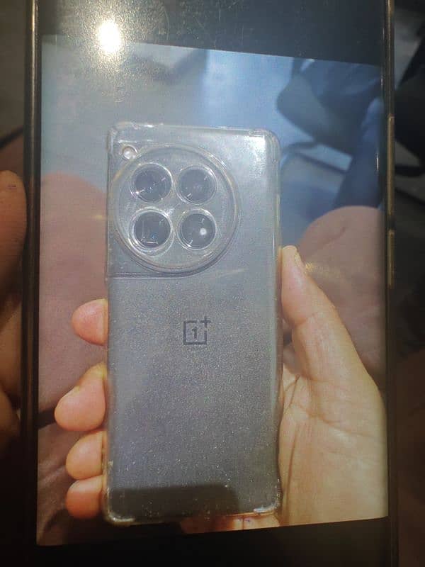 one plus 12 pta official 0