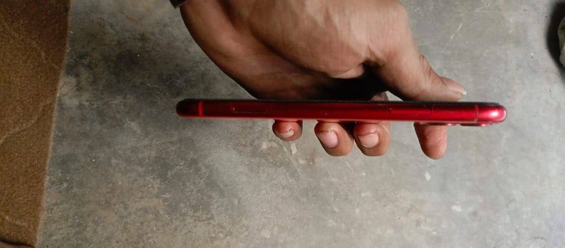 iPhone 11 non pta 4