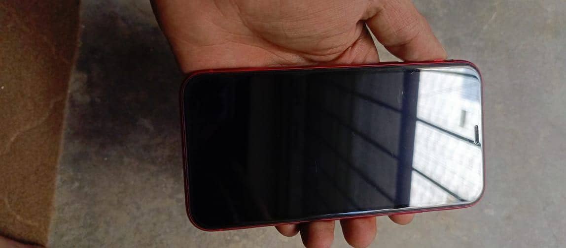 iPhone 11 non pta 9