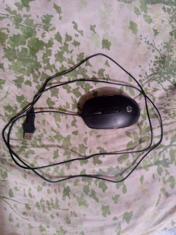 Computer mouse 0