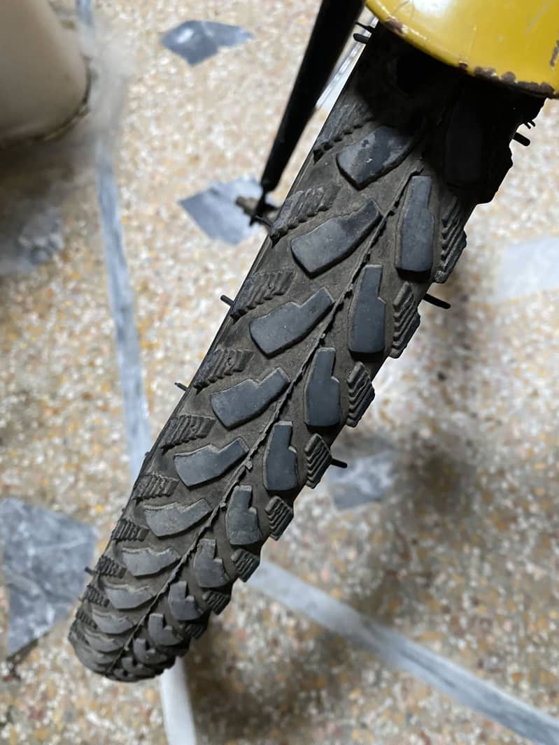 full size thunder bicycle 1