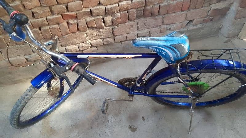 bast  kandeshion 2