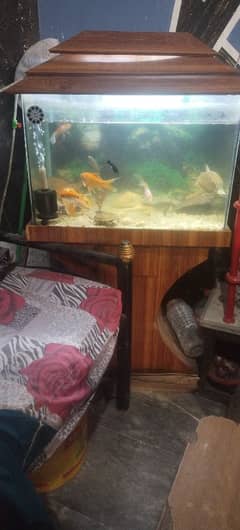 Aquarium