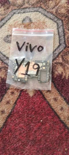 vivo