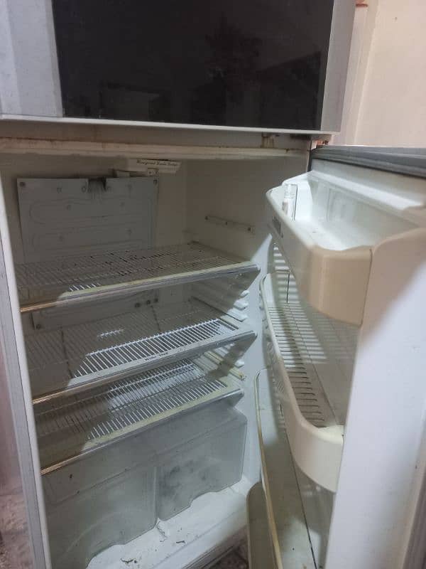 frige 1