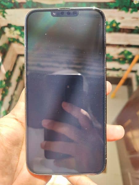 Iphone 13 Pro Max Mint 1