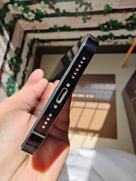 Iphone 13 Pro Max Mint 2
