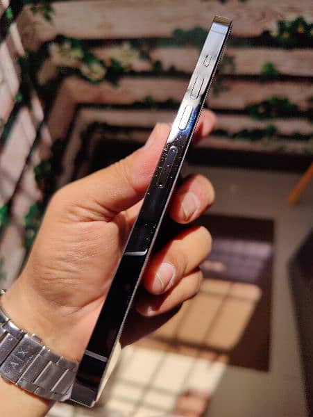 Iphone 13 Pro Max Mint 5