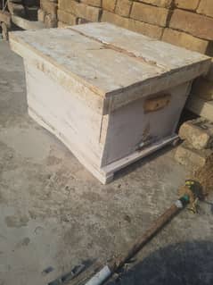 Honey bee box