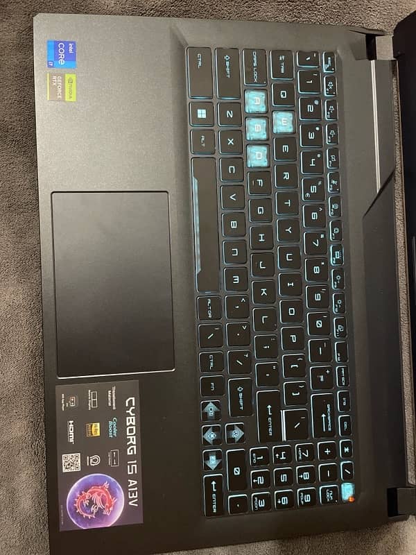 CYBORG 15 A13V 1