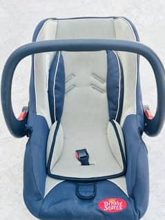 baby car seat/ swing