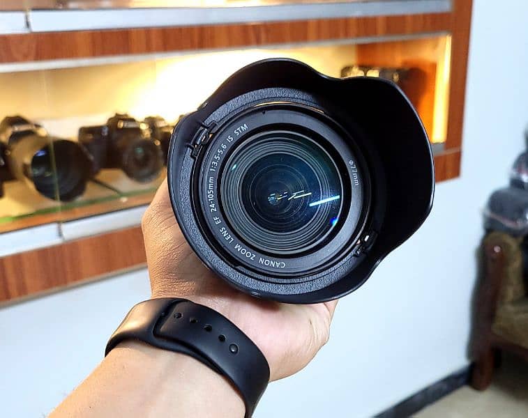 Canon 24-105mm IS STM (Full-frame/Crop) 1
