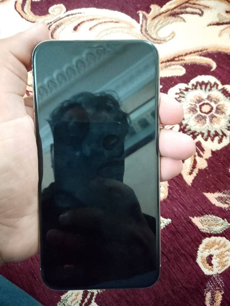 Iphone x 256gb 1