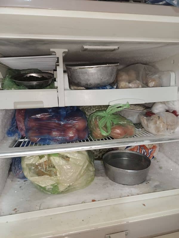 Big Size Fridge For Sale 3