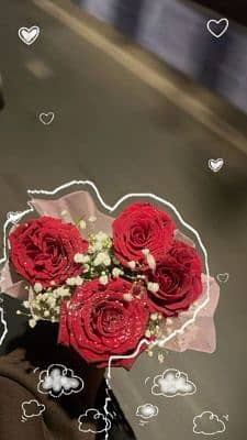 Aneeqa
