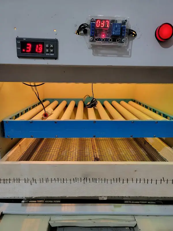 Incubator Automatic — photo 4