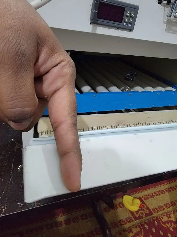 Incubator Automatic — photo 6