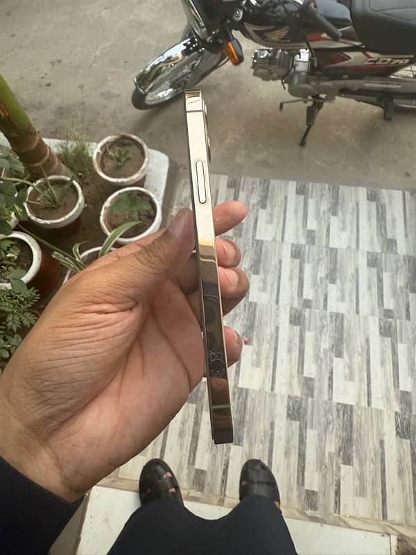 iphone 12 pro pta Approved 2