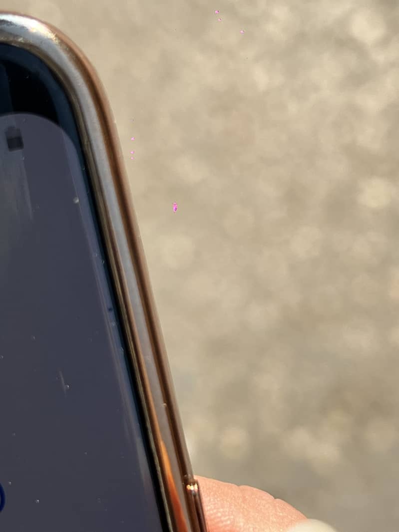 S8 pta approved 4 64 1