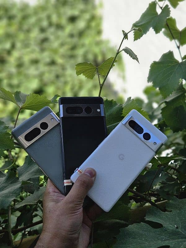 Google pixel 7pro pta registered  online 4