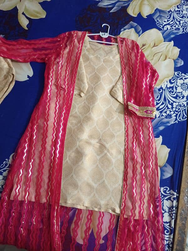 banarsi capri & shirt with net shrug 2