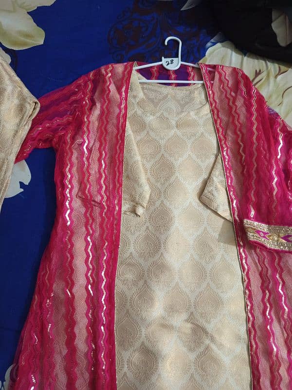 banarsi capri & shirt with net shrug 3