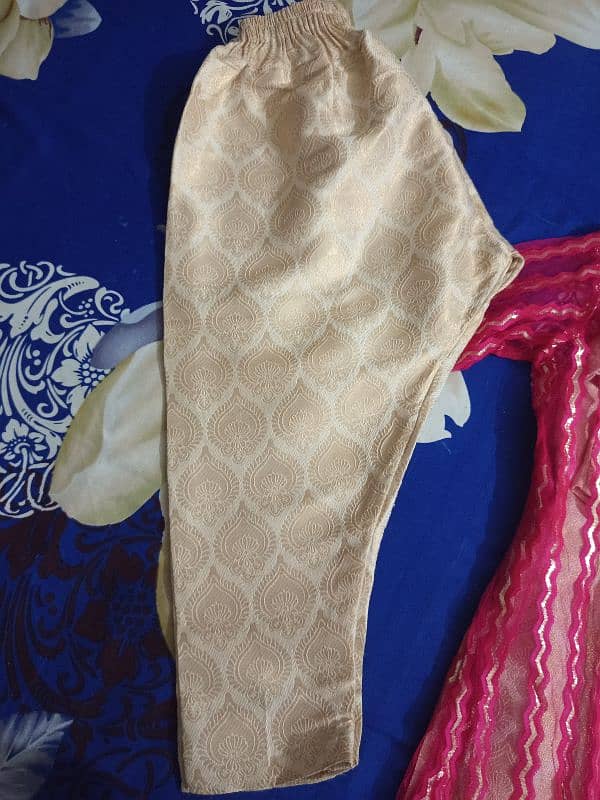 banarsi capri & shirt with net shrug 4