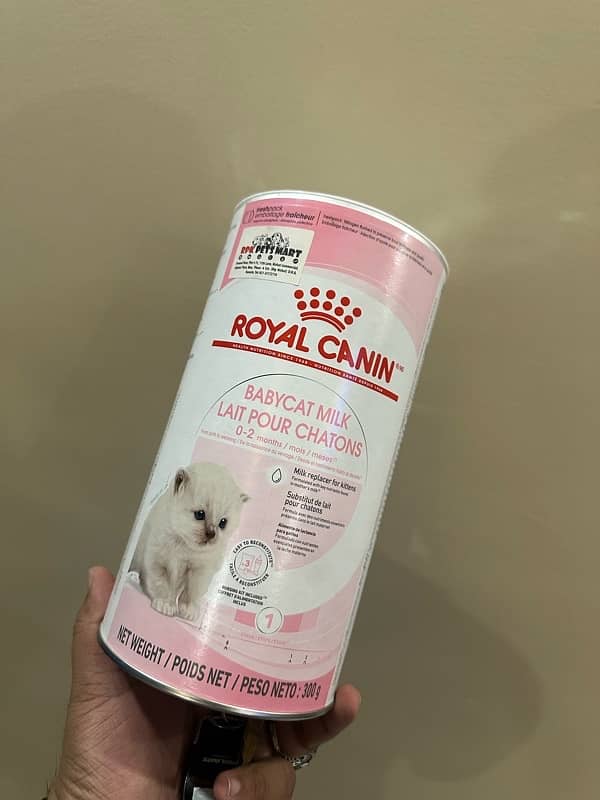 ROYAL CANIN MILK REPLACER FOR KITTENS 0