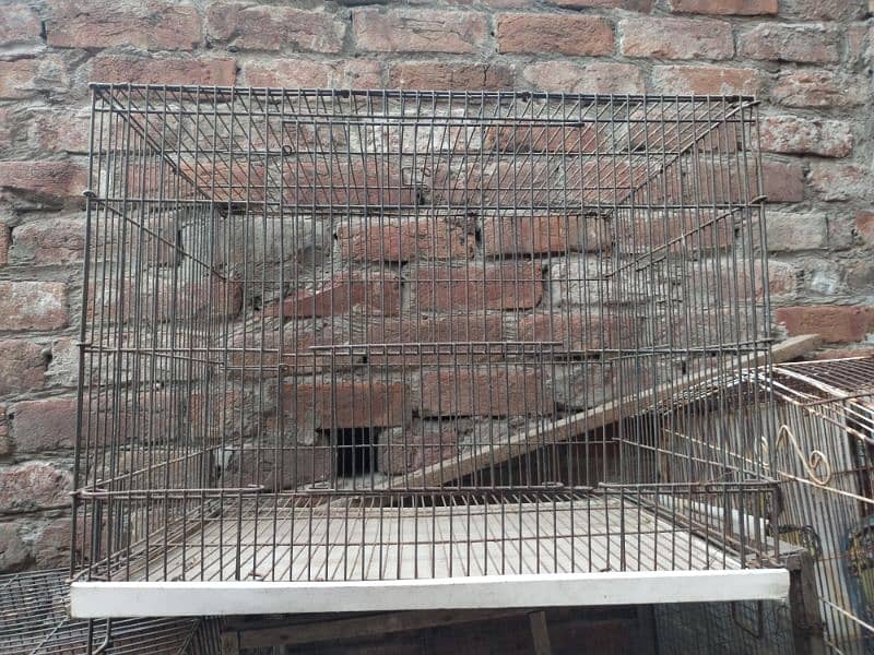 birds cages & tokra 0