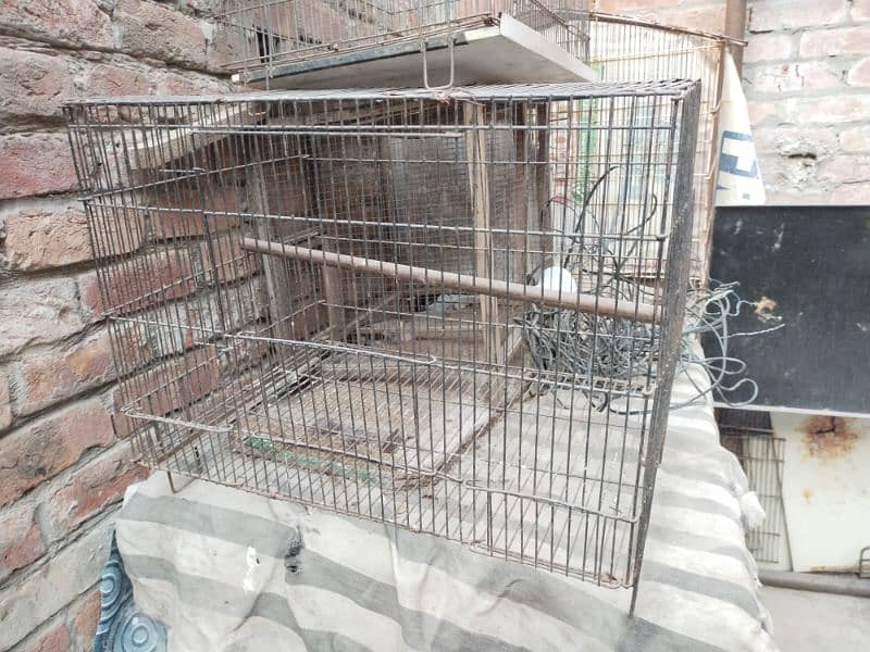 birds cages & tokra 1