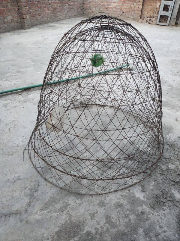 birds cages & tokra 2