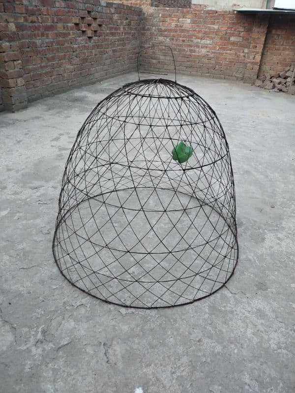 birds cages & tokra 3