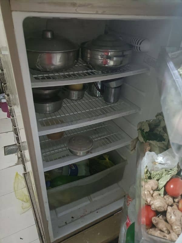 Pel Fridge full size for sale 3