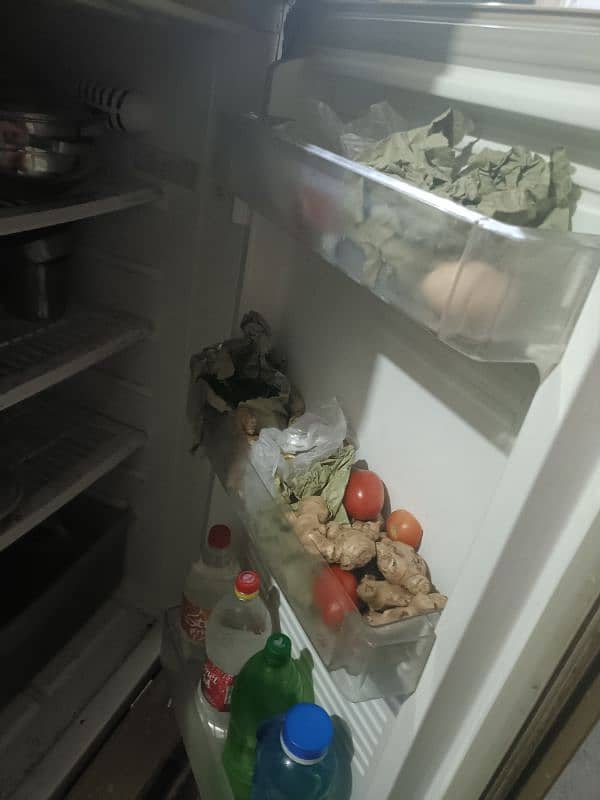 Pel Fridge full size for sale 5