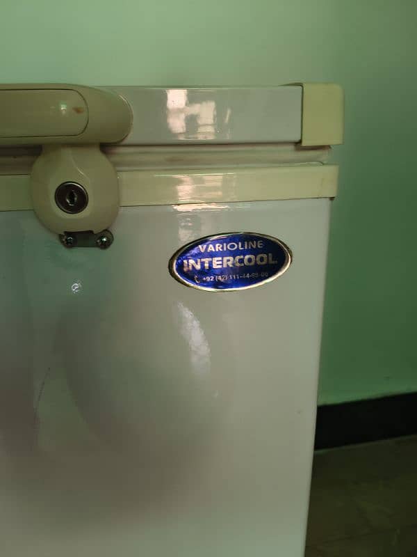 Varioline Intercool double door freezer 1