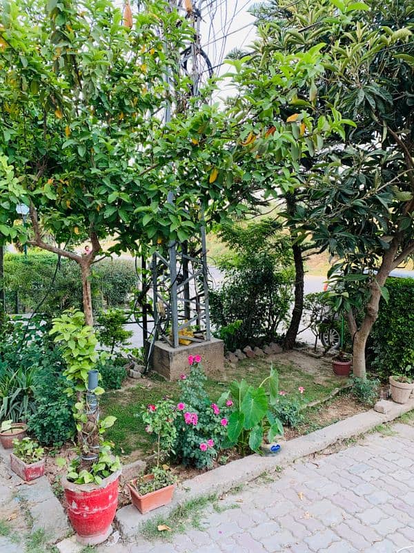 Ground and Basement Portion for Rent I-10 13