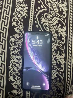 IPhone XR 64 gb  jv lush condtion
