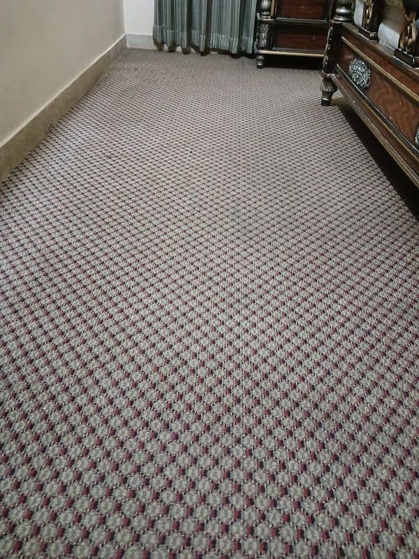 carpet 2