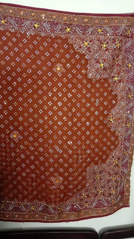 Bridal Sari 1