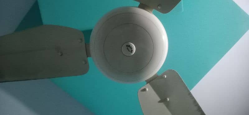 Ceiling Fan Orient 1